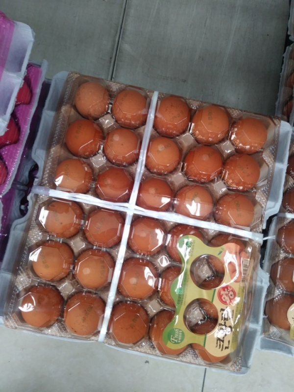 시중에 판매되는 계란. 사진은 기사 내용과 관련없음.