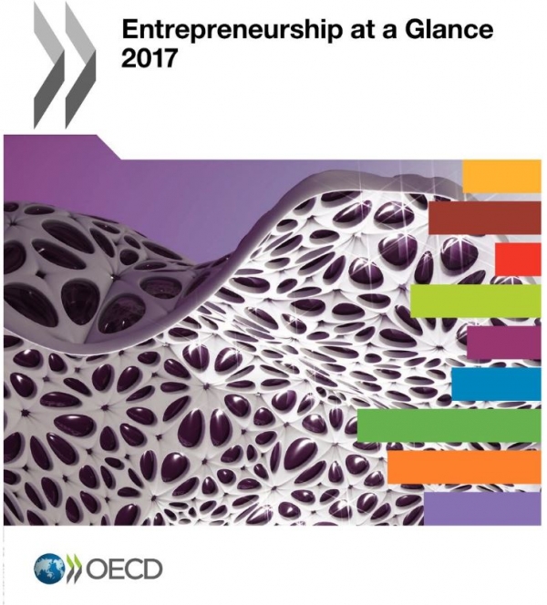 'Entrepreneurship at a Glance 2017' 보고서. 출처| OECD