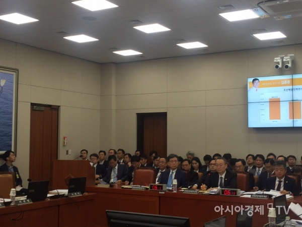 13일 산업통상자원중소벤처기업위원회 산업통상자원부 국정감사에서 김현종 통상본부장과 백운규 장관이 질의에 응답하고 있다.