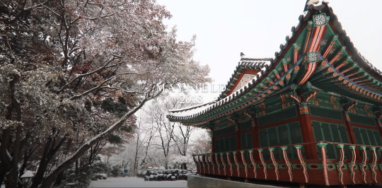 제공 | 메이필드호텔