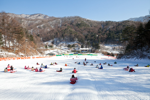 한화리조트 양평 눈썰매장. 제공 | 한화호텔앤드리조트