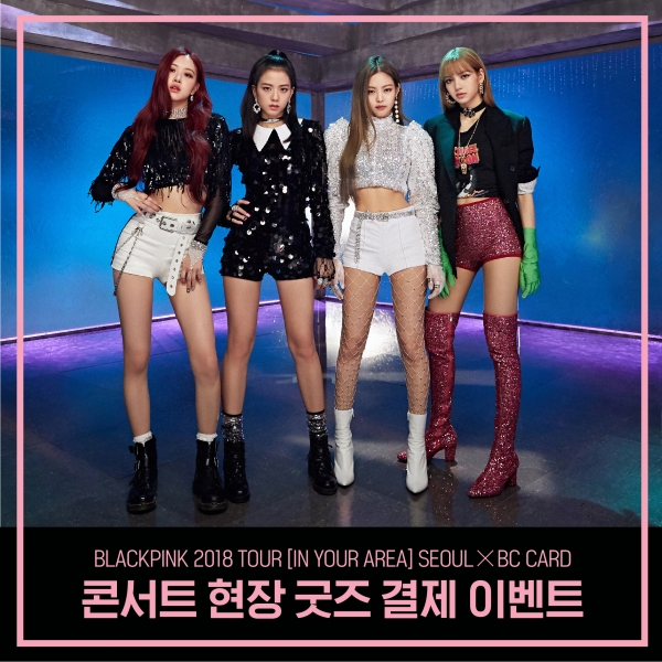 [사진=BC카드]
