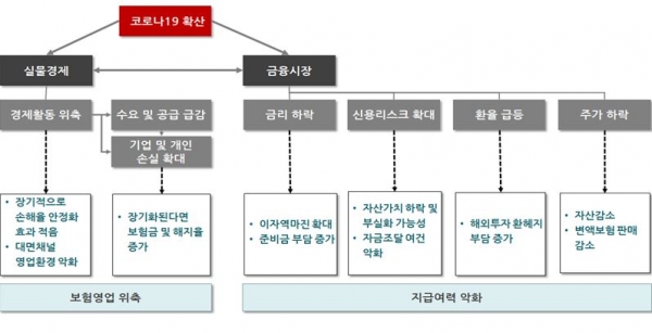 [자료=보험연구원]