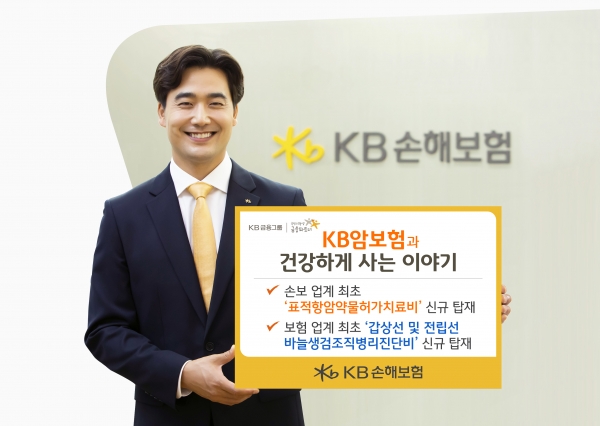 [사진=KB손해보험]