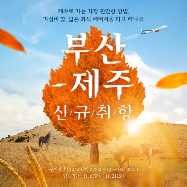 [자료제공: 에어서울]