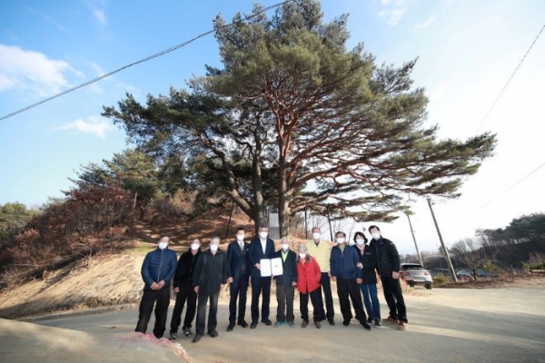 예천군 수한리 소나무 문화재 지정서 전달 모습