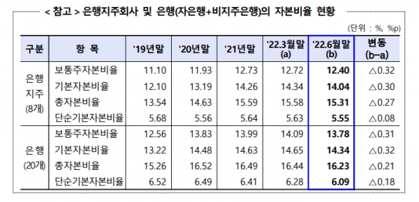 [자료제공=금융감독원]