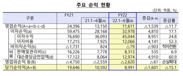 [자료제공=금융감독원]