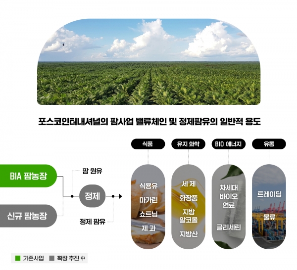 포스코인터내셔널의 팜사업 밸류체인 및 정제팜유 일반적 용도 [사진=포스코인터내셔널]