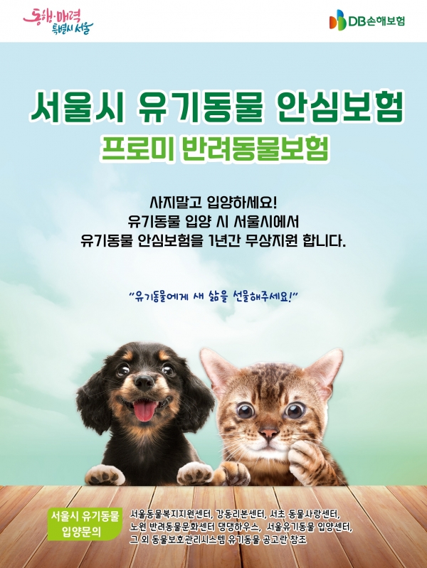 [사진제공=DB손해보험]