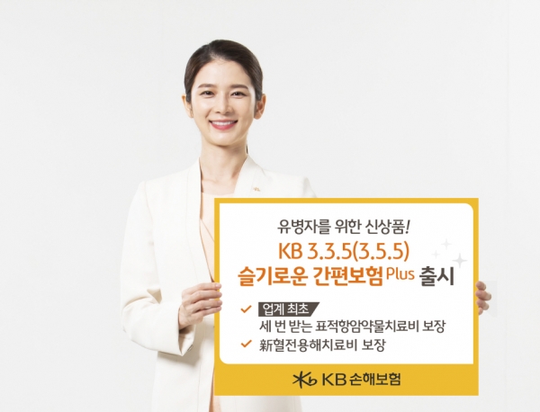 [사진제공=KB손해보험]