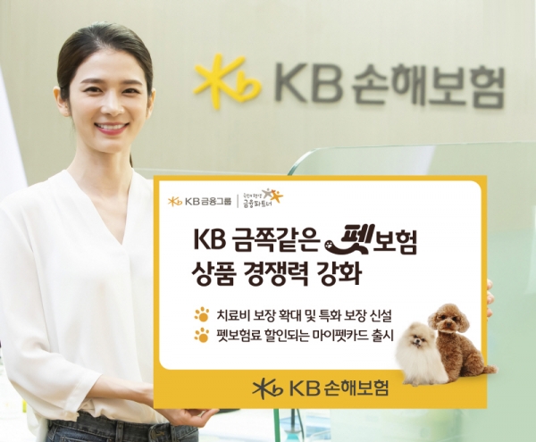 [사진제공=KB손해보험]