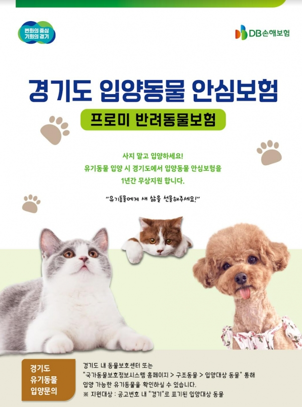 [사진제공=DB손해보험]