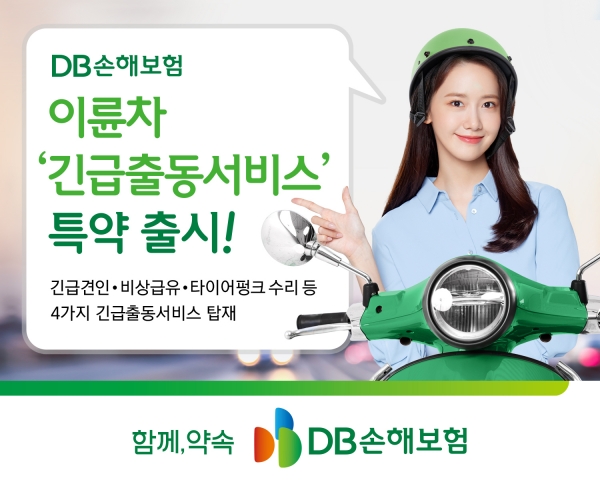 [사진제공=DB손해보험]