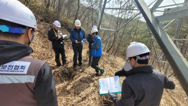 사외 전문기관 합동 철탑 특별진단 모습