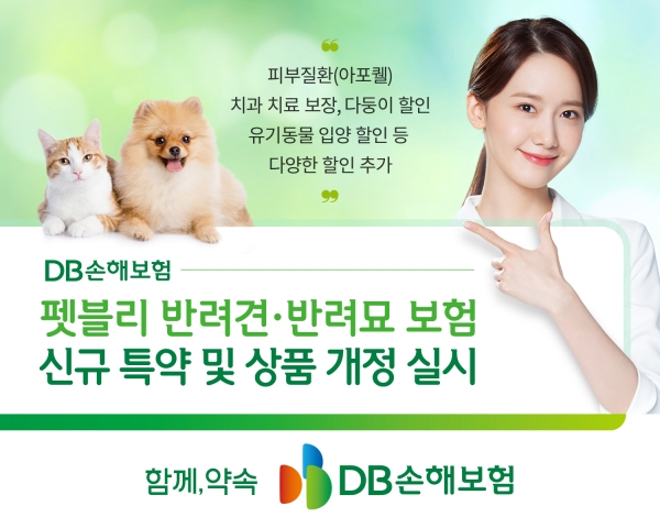 [사진제공=DB손해보험]