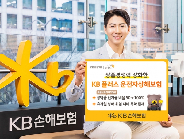 [사진제공=KB손해보험]
