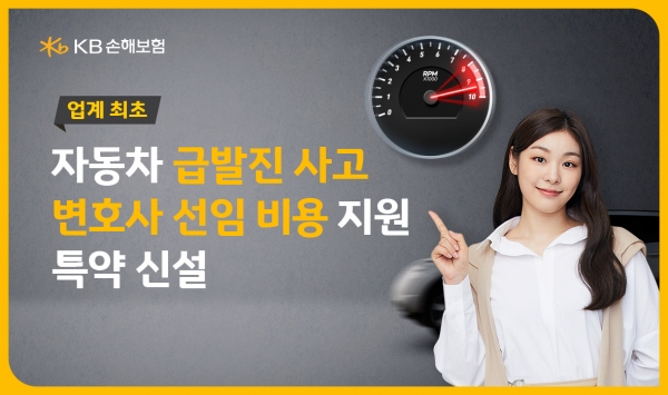 [사진제공=KB손해보험]