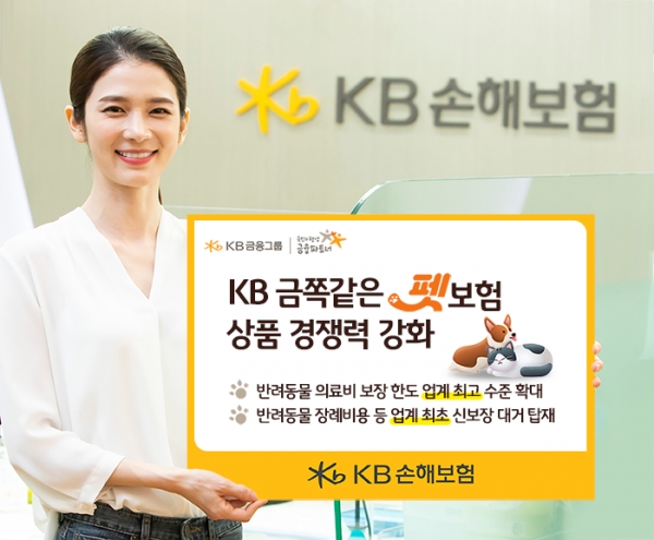[사진제공=KB손해보험]