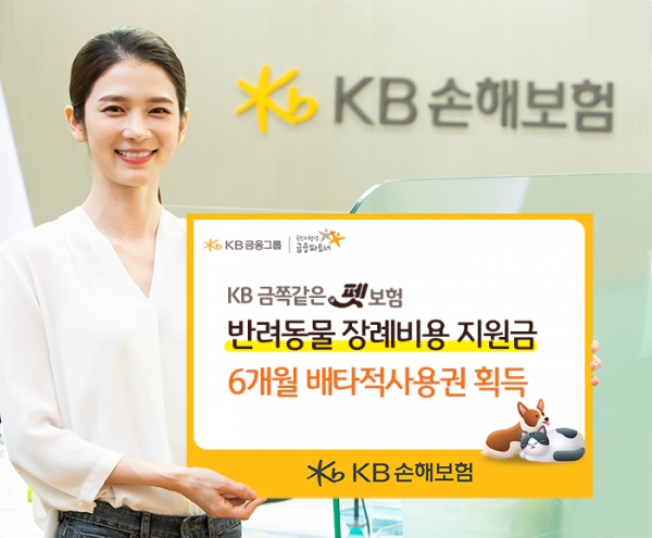 [사진제공=KB손해보험]
