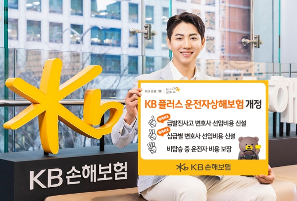 [사진제공=KB손해보험]