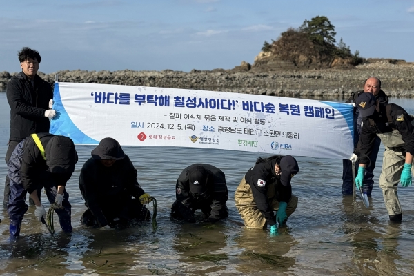 '바다숲 가꾸기' 잘피 이식 사업 진행. [사진=롯데칠성]