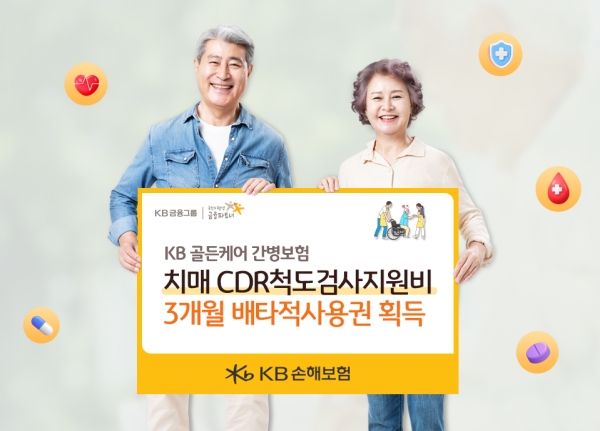 [사진=KB손해보험]