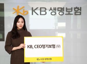 KB생명, ‘CEO 정기보험 무배당’ 출시