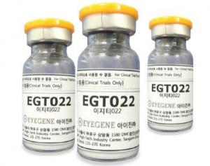 아이진, 허혈성질환 치료제 'EGT022' 신생혈관 증식 억제능 규명