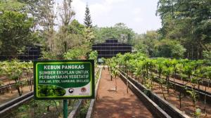印泥 산림관리 지원 사업, 공적개발원조 우수사례로 선정