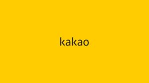 카카오, 2024년 ‘KPP(Kakao Premier Partner)’ 프로그램 파트너사 선정