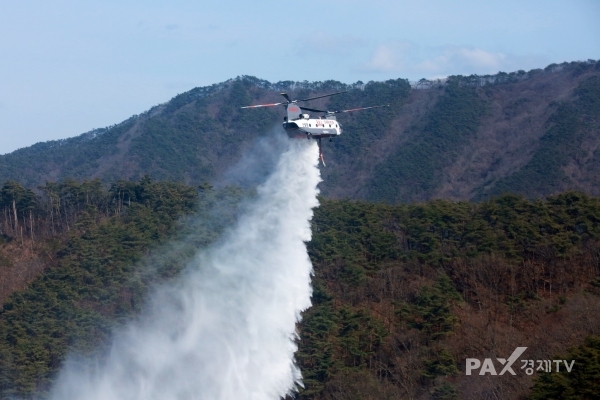 산림청은 지난해부터 대비해 올 2월 해외 임차헬기 7대(담수량 9400ℓ 대형헬기 5대, 4200ℓ 중형헬기 2대)를 도입했다고 14일 밝혔다. 사진은 해외 임차헬기 CH-47가 물을 뿌리고 있다. [사진제공=산림청]