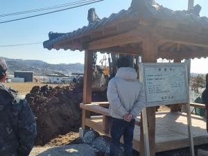 [단독] 여주시, 400년 된 보호수 죽음에 대한 늦장 대응 논란