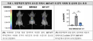 브릿지바이오테라퓨틱스, '특발성 폐섬유증 신약 BBT-877' 국제 유력 의학 학술지 연구데이터 게재